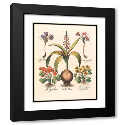 Bulb Botanical Black Modern Wood Framed Art Print with Double Matting by Unknown