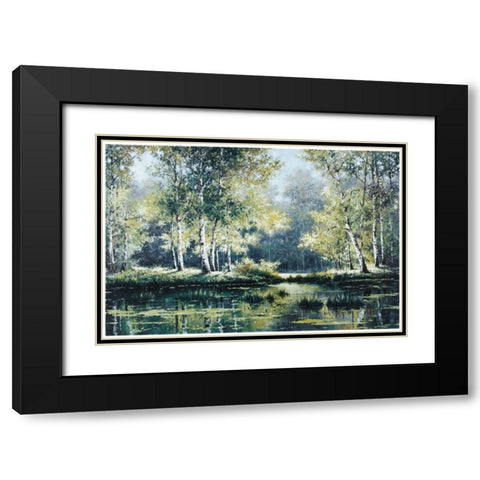 Great Swamp Black Modern Wood Framed Art Print with Double Matting by Unknown