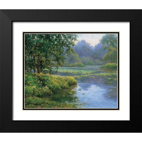 Lilypads Black Modern Wood Framed Art Print with Double Matting by Unknown