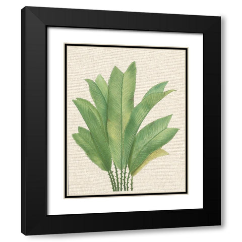 Palm Fronds I Black Modern Wood Framed Art Print with Double Matting by Unknown