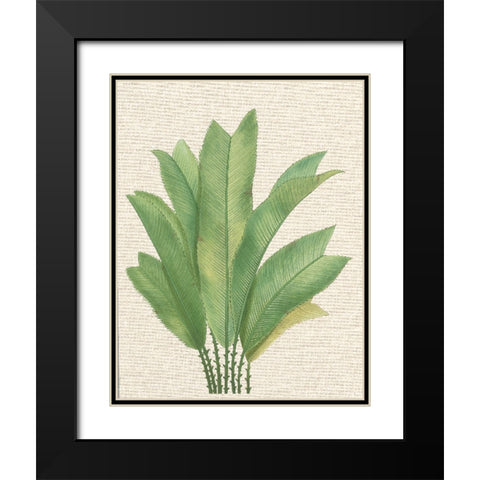 Palm Fronds I Black Modern Wood Framed Art Print with Double Matting by Unknown