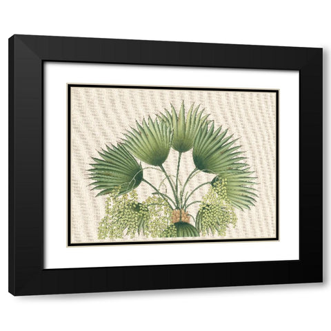 Palm Fronds II Black Modern Wood Framed Art Print with Double Matting by Unknown