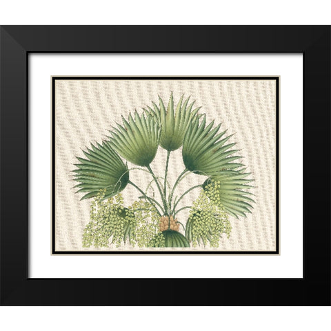 Palm Fronds II Black Modern Wood Framed Art Print with Double Matting by Unknown