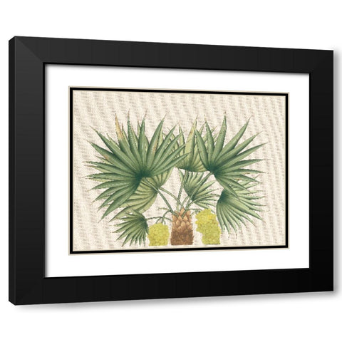 Palm Fronds III Black Modern Wood Framed Art Print with Double Matting by Unknown