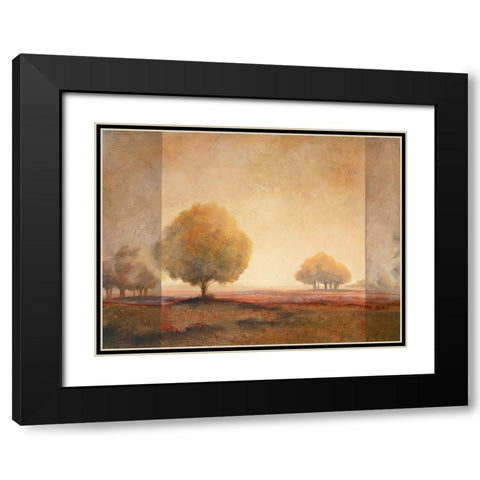 Golden Trees II Black Modern Wood Framed Art Print with Double Matting by Unknown
