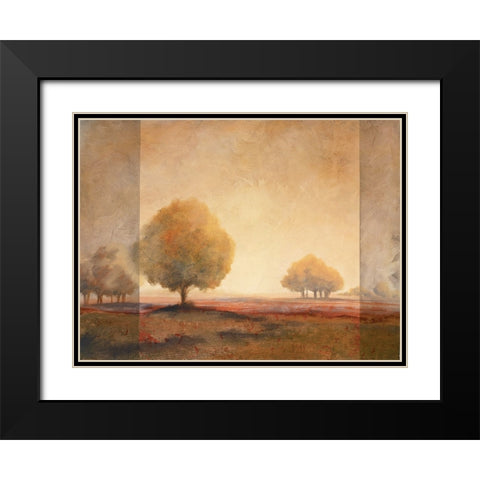 Golden Trees II Black Modern Wood Framed Art Print with Double Matting by Unknown
