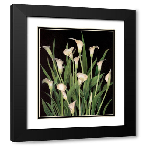 Lily I Black Modern Wood Framed Art Print with Double Matting by Unknown