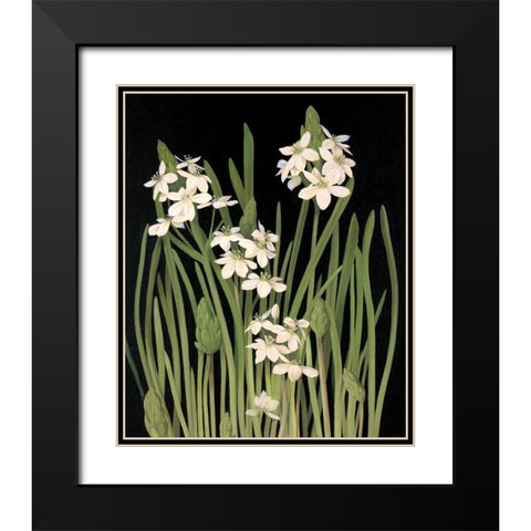 Lily II Black Modern Wood Framed Art Print with Double Matting by Unknown