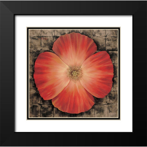 Red Poppy I Black Modern Wood Framed Art Print with Double Matting by Unknown