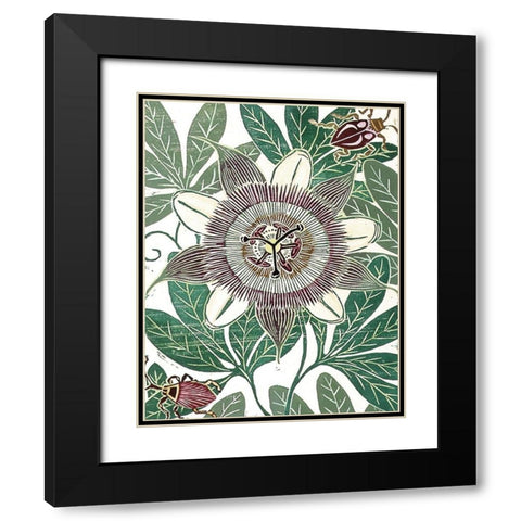 Poppy II Black Modern Wood Framed Art Print with Double Matting by Unknown
