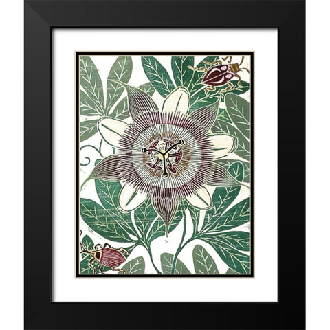 Poppy II Black Modern Wood Framed Art Print with Double Matting by Unknown