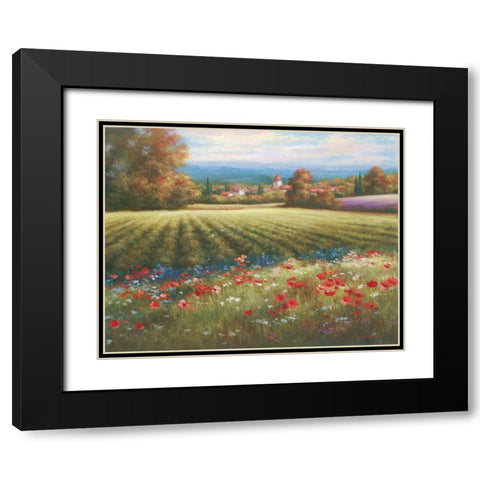 Fields of Provence I Black Modern Wood Framed Art Print with Double Matting by Unknown