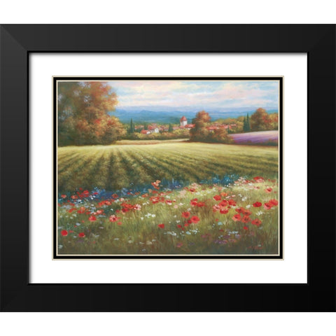 Fields of Provence I Black Modern Wood Framed Art Print with Double Matting by Unknown
