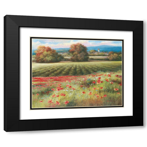 Pields of Provence II Black Modern Wood Framed Art Print with Double Matting by Unknown