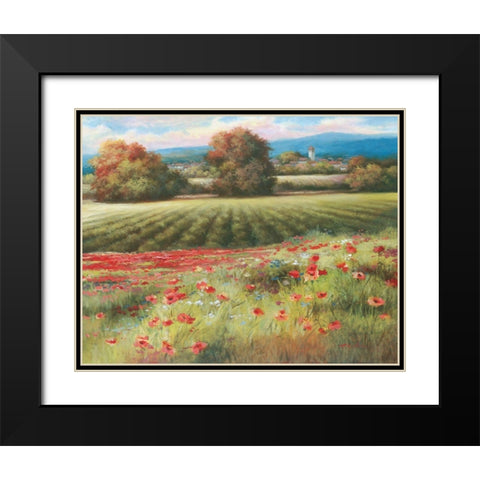 Pields of Provence II Black Modern Wood Framed Art Print with Double Matting by Unknown