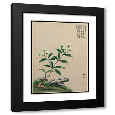 Oriental Flower I Black Modern Wood Framed Art Print with Double Matting by Unknown