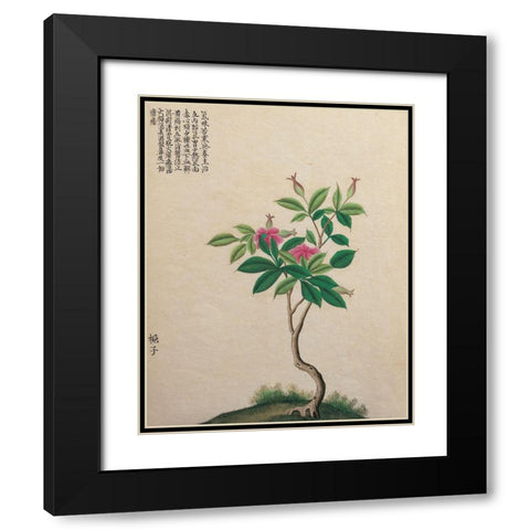 Oriental Bamboo Black Modern Wood Framed Art Print with Double Matting by Unknown