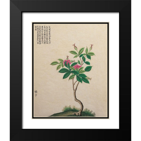 Oriental Bamboo Black Modern Wood Framed Art Print with Double Matting by Unknown