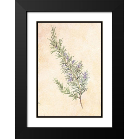 Rosemary Black Modern Wood Framed Art Print with Double Matting by Unknown