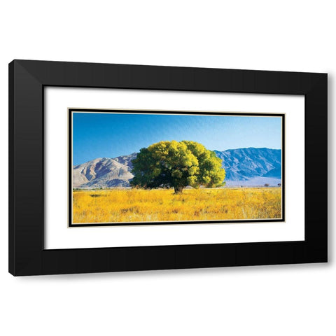Tree on Mountain Black Modern Wood Framed Art Print with Double Matting by Unknown