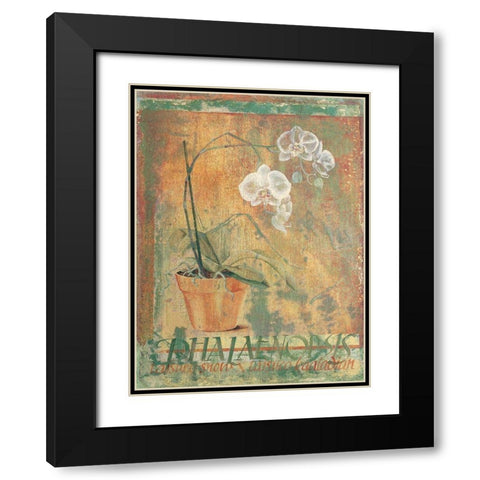 Potted White II Black Modern Wood Framed Art Print with Double Matting by Unknown