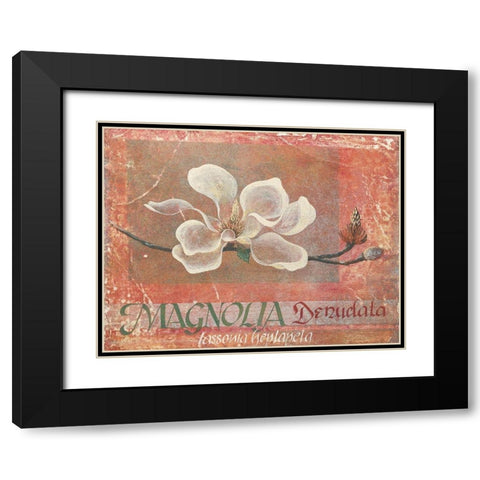 White Magnolia Black Modern Wood Framed Art Print with Double Matting by Unknown