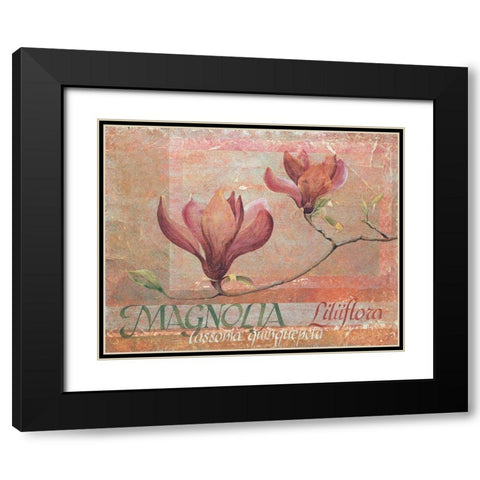 Red Magnolia Black Modern Wood Framed Art Print with Double Matting by Unknown