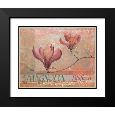 Red Magnolia Black Modern Wood Framed Art Print with Double Matting by Unknown