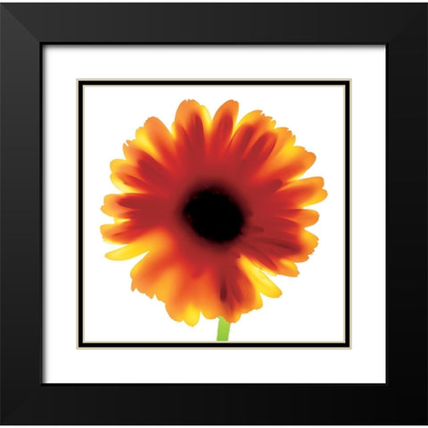 Floral I Black Modern Wood Framed Art Print with Double Matting by Unknown