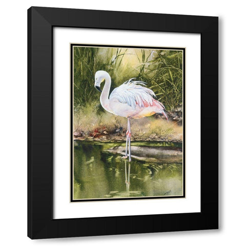 Flamingo Black Modern Wood Framed Art Print with Double Matting by Unknown