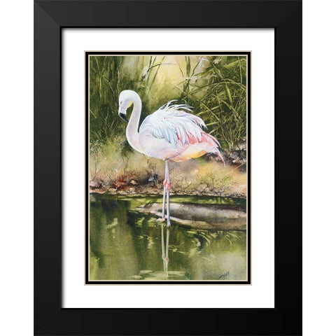 Flamingo Black Modern Wood Framed Art Print with Double Matting by Unknown