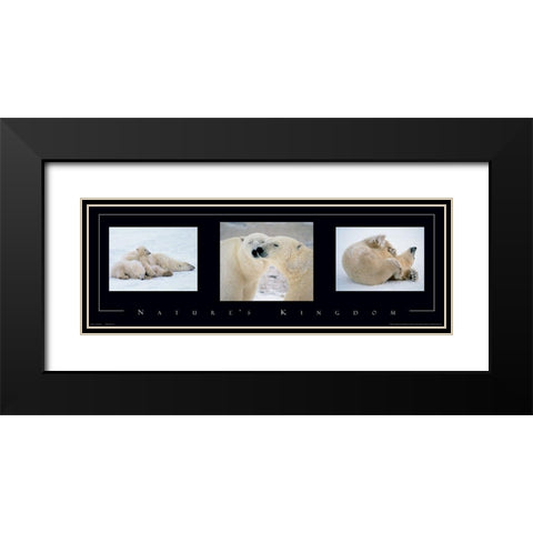 Polar Bears Tryp Black Modern Wood Framed Art Print with Double Matting by Unknown