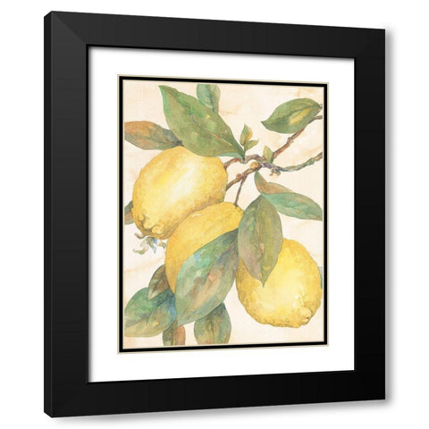 Hanging Lemons Black Modern Wood Framed Art Print with Double Matting by Unknown