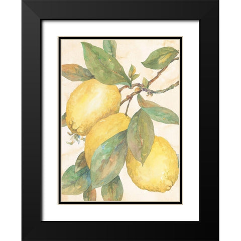 Hanging Lemons Black Modern Wood Framed Art Print with Double Matting by Unknown
