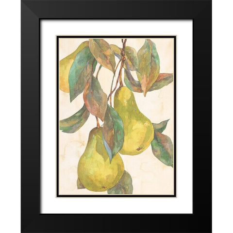 Hanging Pears Black Modern Wood Framed Art Print with Double Matting by Unknown