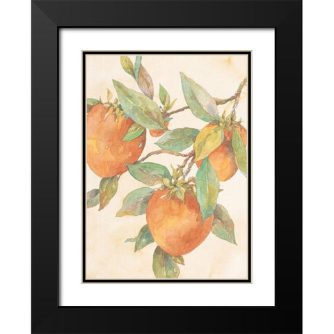 Hanging Peaches Black Modern Wood Framed Art Print with Double Matting by Unknown