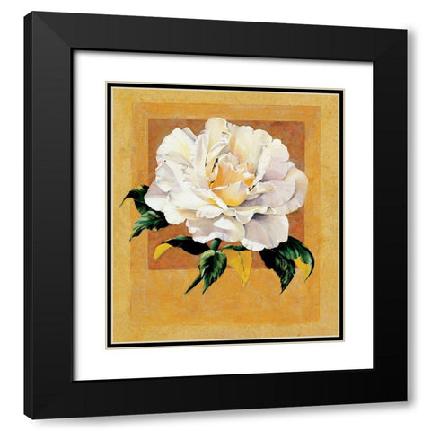 White Rose I Black Modern Wood Framed Art Print with Double Matting by Unknown