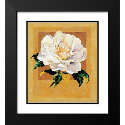 White Rose I Black Modern Wood Framed Art Print with Double Matting by Unknown