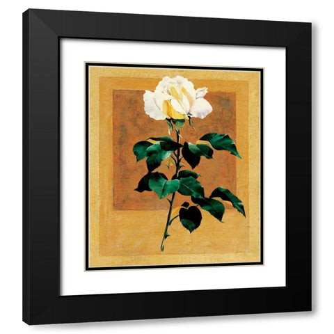 White Rose II Black Modern Wood Framed Art Print with Double Matting by Unknown