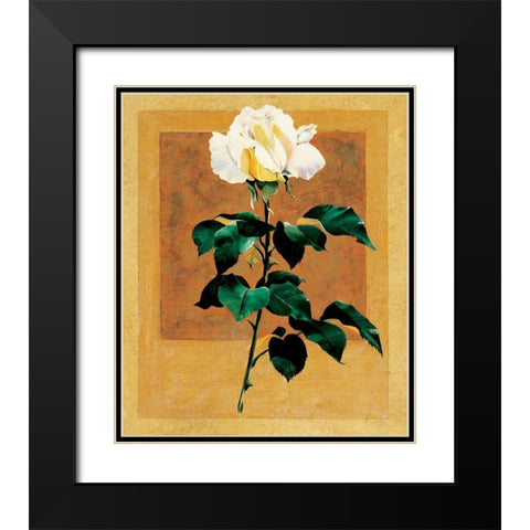 White Rose II Black Modern Wood Framed Art Print with Double Matting by Unknown