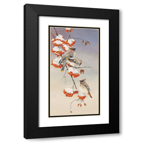 Finch on Perch Black Modern Wood Framed Art Print with Double Matting by Unknown
