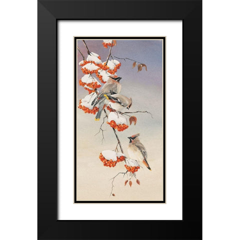 Finch on Perch Black Modern Wood Framed Art Print with Double Matting by Unknown