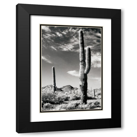 Cactus Black Modern Wood Framed Art Print with Double Matting by Unknown