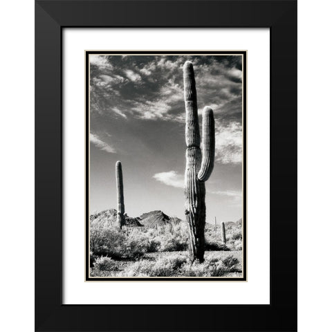 Cactus Black Modern Wood Framed Art Print with Double Matting by Unknown