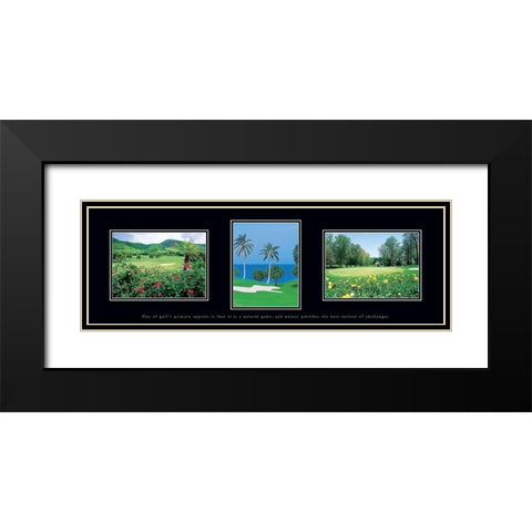 Golf Palms Black Modern Wood Framed Art Print with Double Matting by Unknown