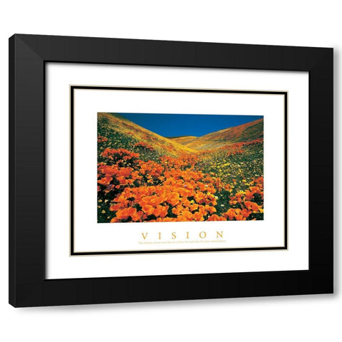 Vision - Edelweiss Flowers Black Modern Wood Framed Art Print with Double Matting by Unknown