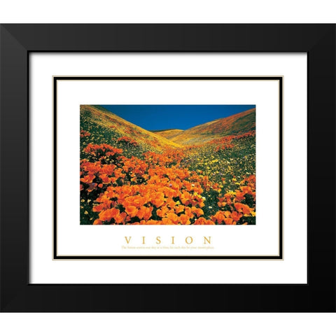Vision - Edelweiss Flowers Black Modern Wood Framed Art Print with Double Matting by Unknown