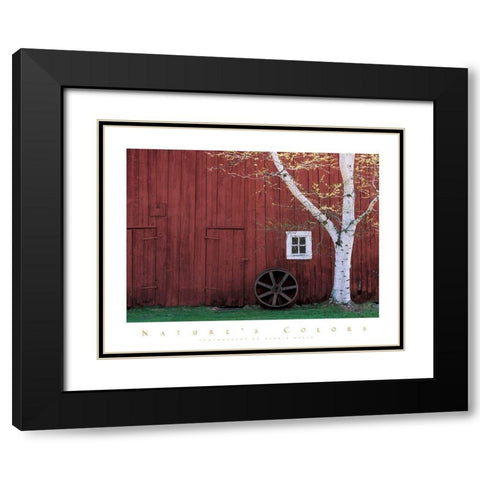 Red Barn and Aspen Tree Black Modern Wood Framed Art Print with Double Matting by Unknown