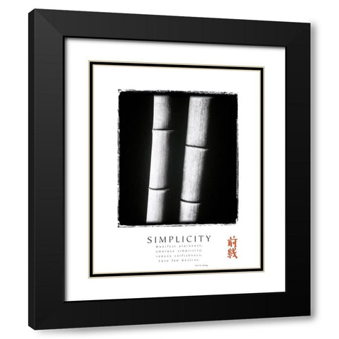 Simplicity Black Modern Wood Framed Art Print with Double Matting by Unknown