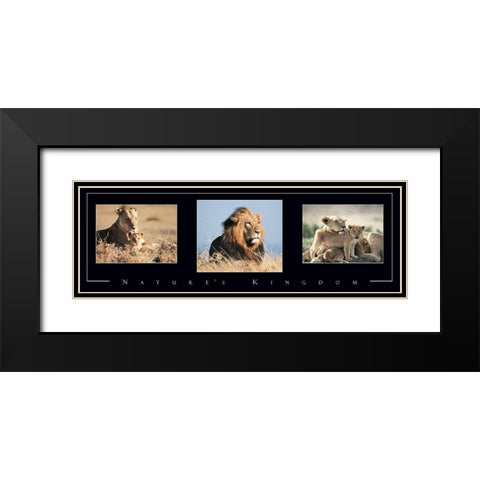 Lion Tryp Black Modern Wood Framed Art Print with Double Matting by Unknown
